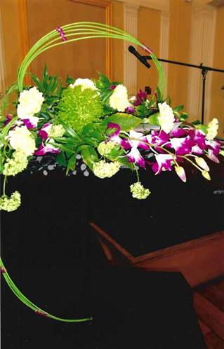 A picture containing flower, plant

Description automatically generated