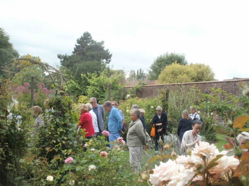 A group of people standing next to a tree

Description automatically generated