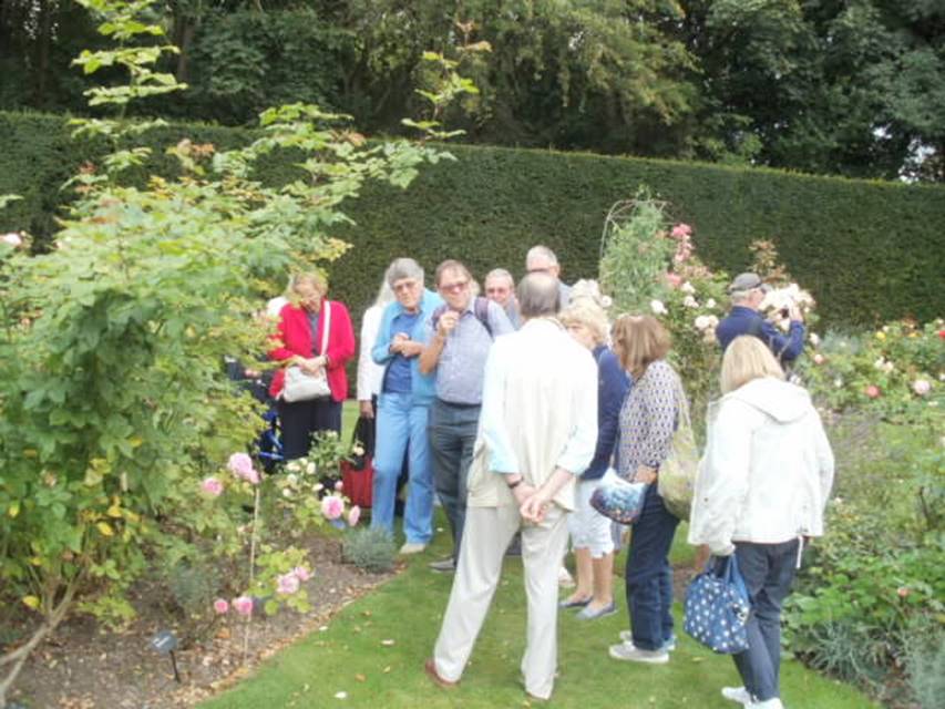 A group of people standing next to a tree

Description automatically generated